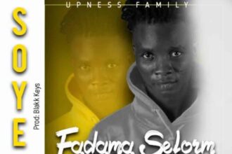 Download Fadama Selorm Soyeya