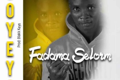 Download Fadama Selorm Soyeya