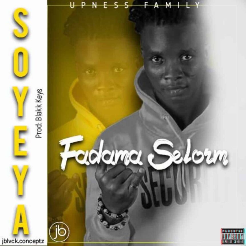 Download Fadama Selorm Soyeya