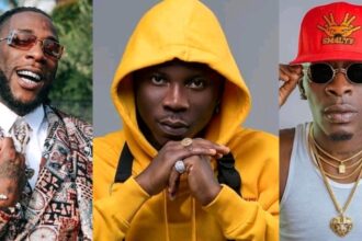 Stonebwoy best african dancehall Entertainer irawma