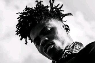 Alleged Kwesi Arthur Sextape