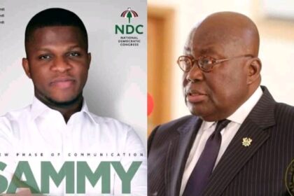Video: NDC's Sammy Gyamfi Claims Akufo-Addo Has Slept With Half Of His Female Appointees
