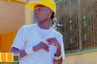 Patapaa - Putuu ft. Bowtie [Remake] (Official Video)