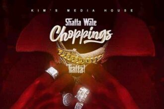 Shatta Wale Choppings