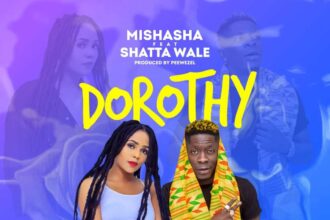 Mishasha ft. Shatta Wake - Dorothy