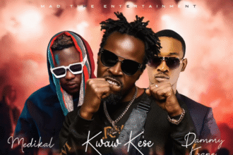 Kwaw Kese Ft Medikal, Dammy Krane - Party Rocker
