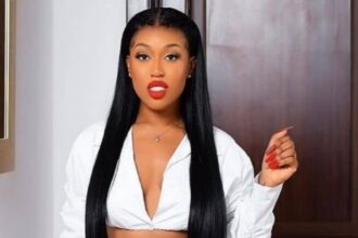 Fantana No Dulling mp3