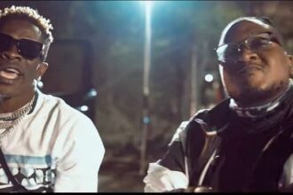 Shatta Wale Rich Life Video