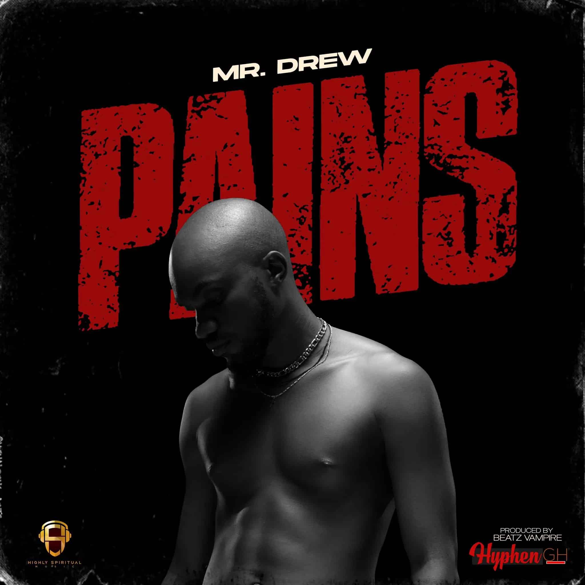 Mr Drew Pains mp3 download