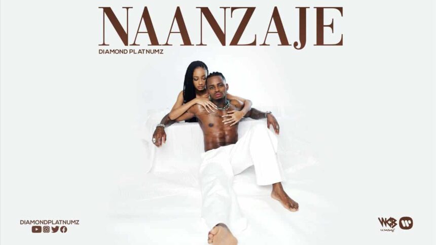 Diamond Platnumz Naanzaje