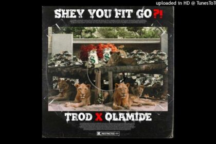 Trod - Shey You Fit Go