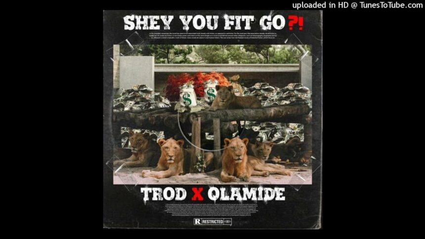 Trod - Shey You Fit Go
