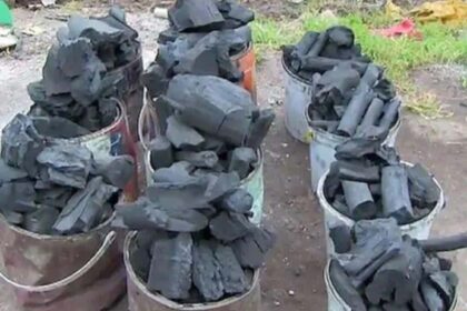 Nigeria: Nasarawa govt bans use of charcoal