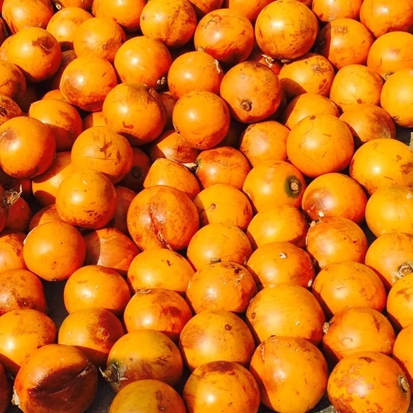 alasa fruit health benefits (African Star Apple)