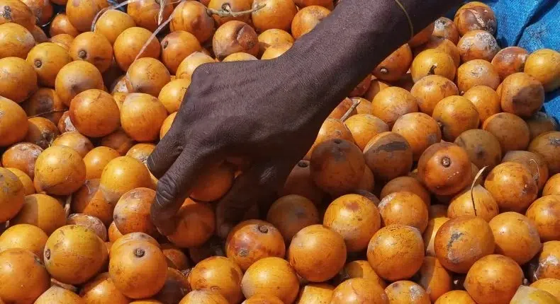 Alasa Fruit (African Star Apple), Health Benefits
