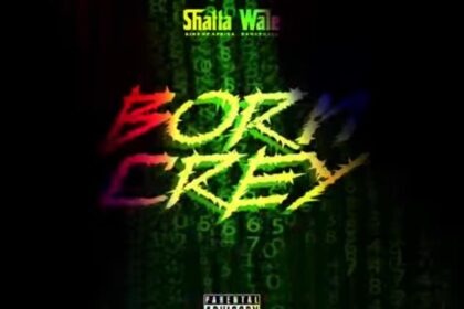Download Shatta Wale Born Crey