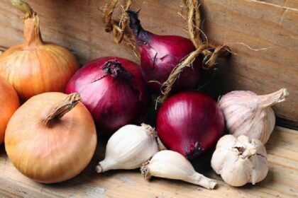 Onion and Garlic health benefit: Reasons why you should eat more Garlic And Onion