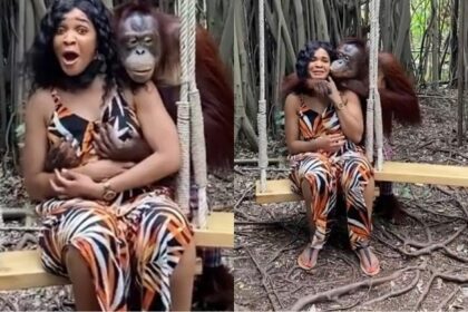 Monkey gets romantic grabs woman's breasts at zoo on a visit [Watch Video]