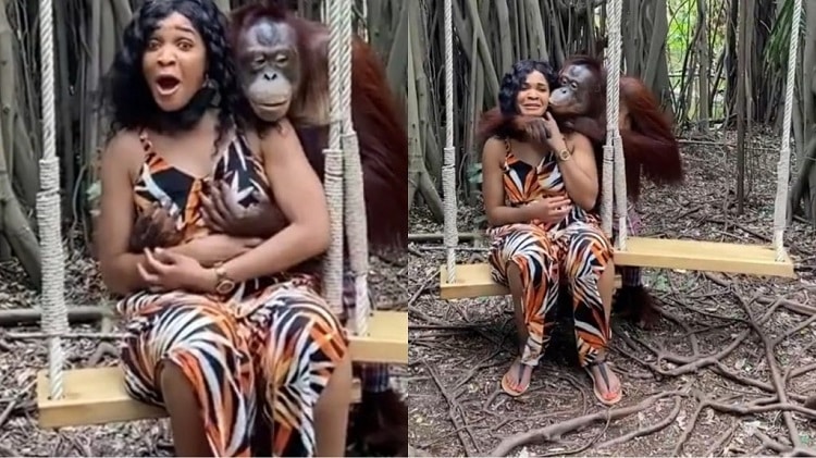 Monkey gets romantic grabs woman's breasts at zoo on a visit [Watch Video]