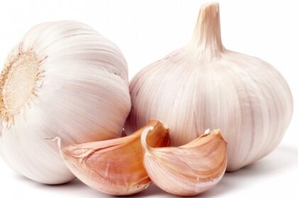 Health Benefits Of Eating Raw Garlic Everyday
