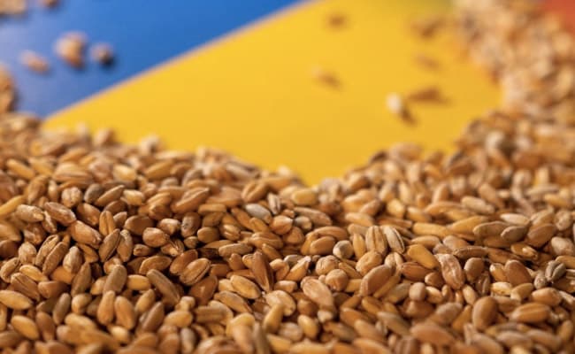 Ukraine Grain Exports Halted After Russia Suspends Participation In Deal