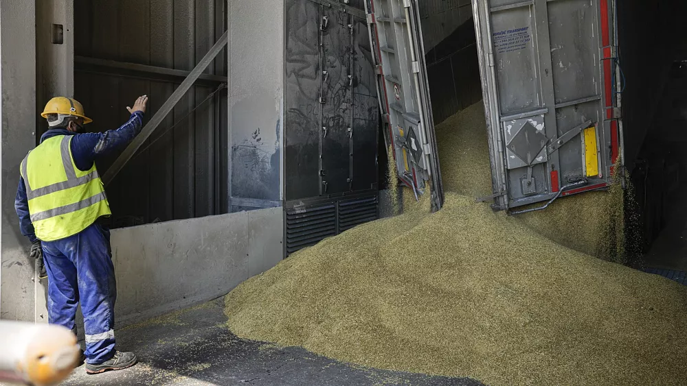 EU Farmers Get a Lifeline: Second Financial Support Package to Combat Ukrainian Grain Import