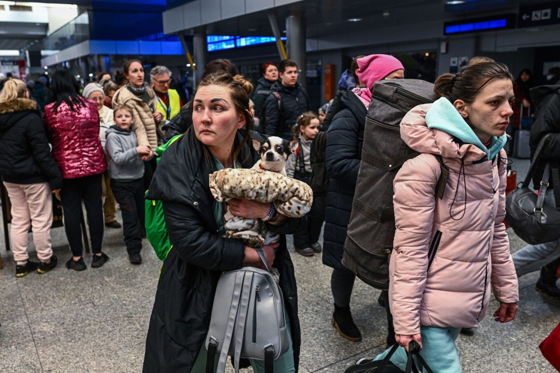 Ukraine crisis: EU's Temporary Protection Permits Drop
