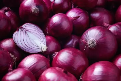 Benefits of Onion Oil for Hair: