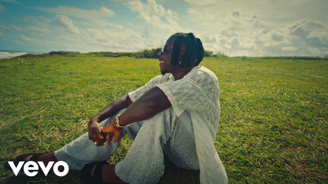 Stonebwoy Into The Future video