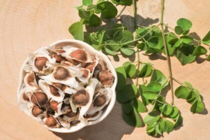 Experience the Healing Properties of Moringa Seeds