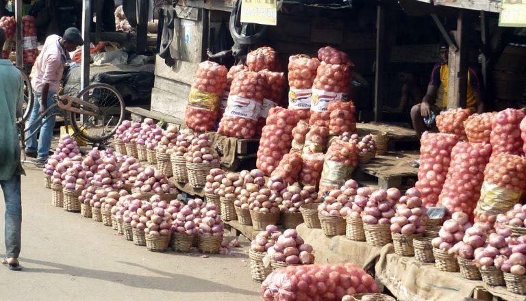 GH¢800 to GH¢1,500: Rising Onion Costs Leave Ghanaian Traders Stranded and Worried