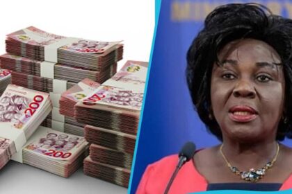 My Late Brother's Money was for His Children's Education: Cecilia Dapaah Reveals