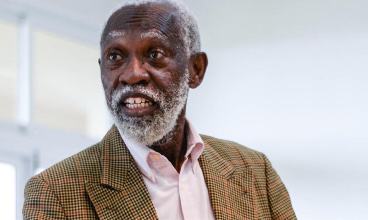 ‘They think Ghana is for them’ - Prof Adei slams Akufo-Addo & appointees