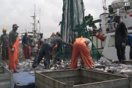 Fisheries Ministry Revokes Licences of 14 Vessels in Ghana for Violating Regulations