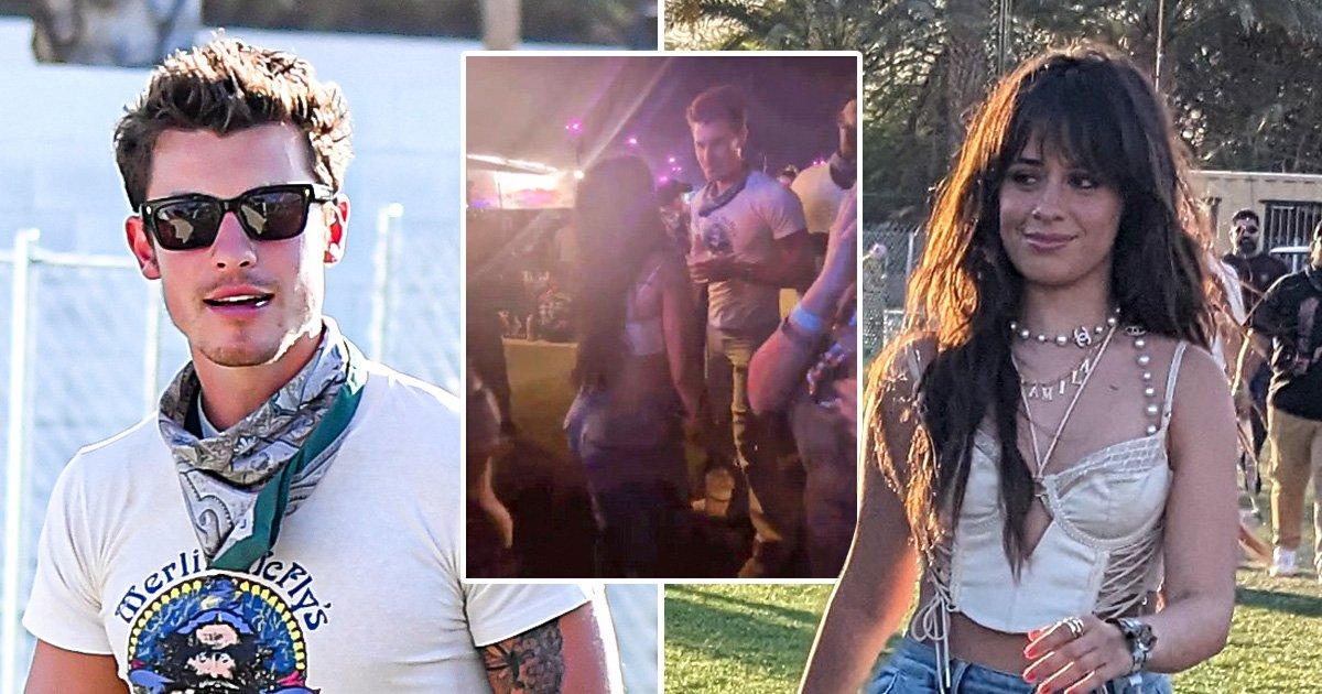 Shawn Mendes Spotted on Date After Camila Cabello Breakup