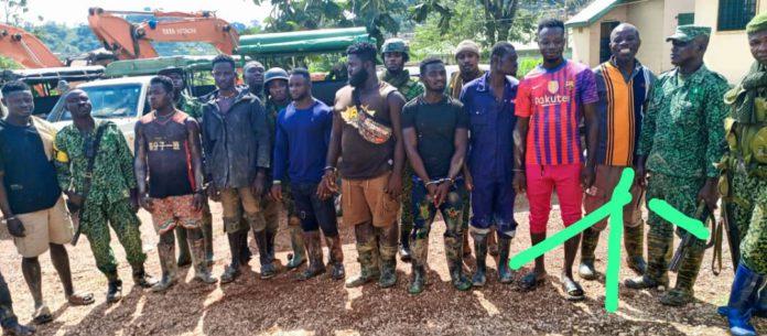 10 Arrested, 2 Excavators Destroyed in Forestry Commission Operation