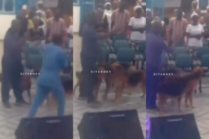 Man Storms Prayer Session with Dogs Over Too Much Noise