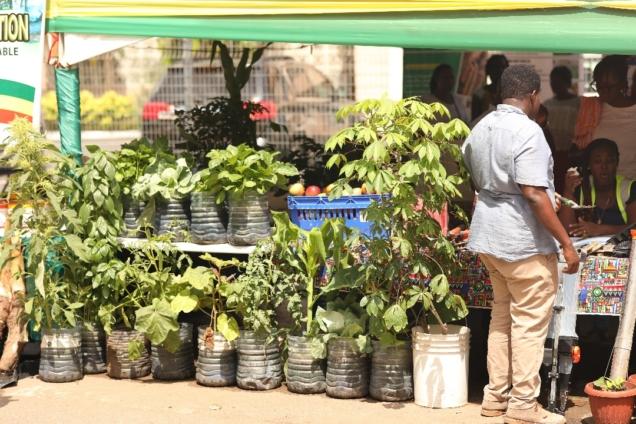 Tarkwa Sets the Stage for the 39th National Farmers' Day 3 Tarkwa Sets the Stage for the 39th National Farmers' Day
