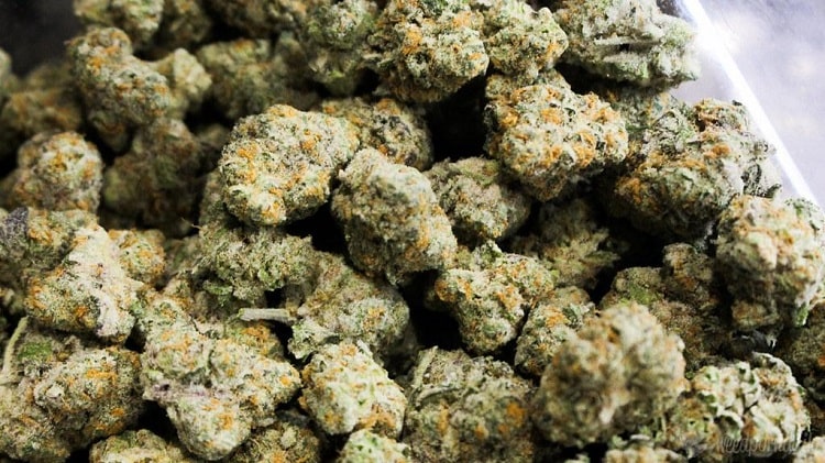 How Can You Save Money On Your Delta 8 Flower Purchase?