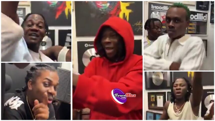 Overlord Remix: Stonebwoy Recruits Larruso, Jahmiel, 10Tikk (Watch Now)