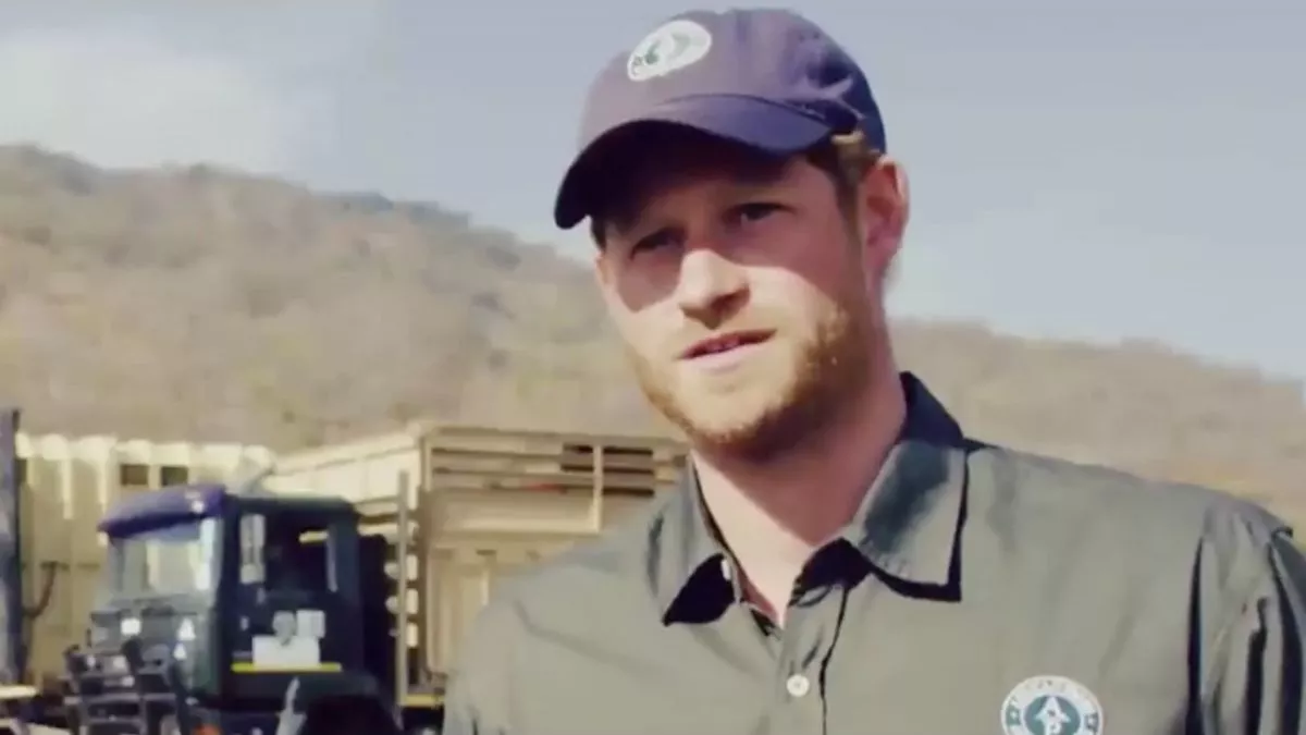 Prince Harry Urged to Step Away from Conservation Charity 2 Prince Harry Urged to Step Away from Conservation Charity