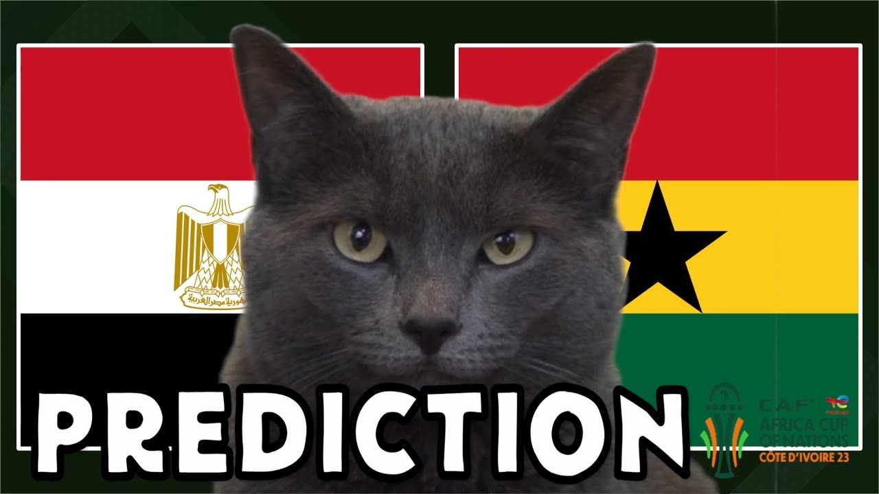 Ghana vs Egypt Prophecy: Watch as the Cat's Magical Prediction Stuns Fans (+VIDEO) 2 Ghana vs Egypt Prophecy: Watch as the Cat's Magical Prediction Stuns Fans
