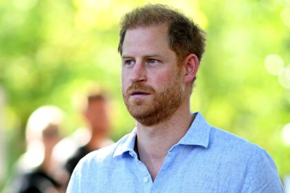 Prince Harry Urged to Step Away from Conservation Charity