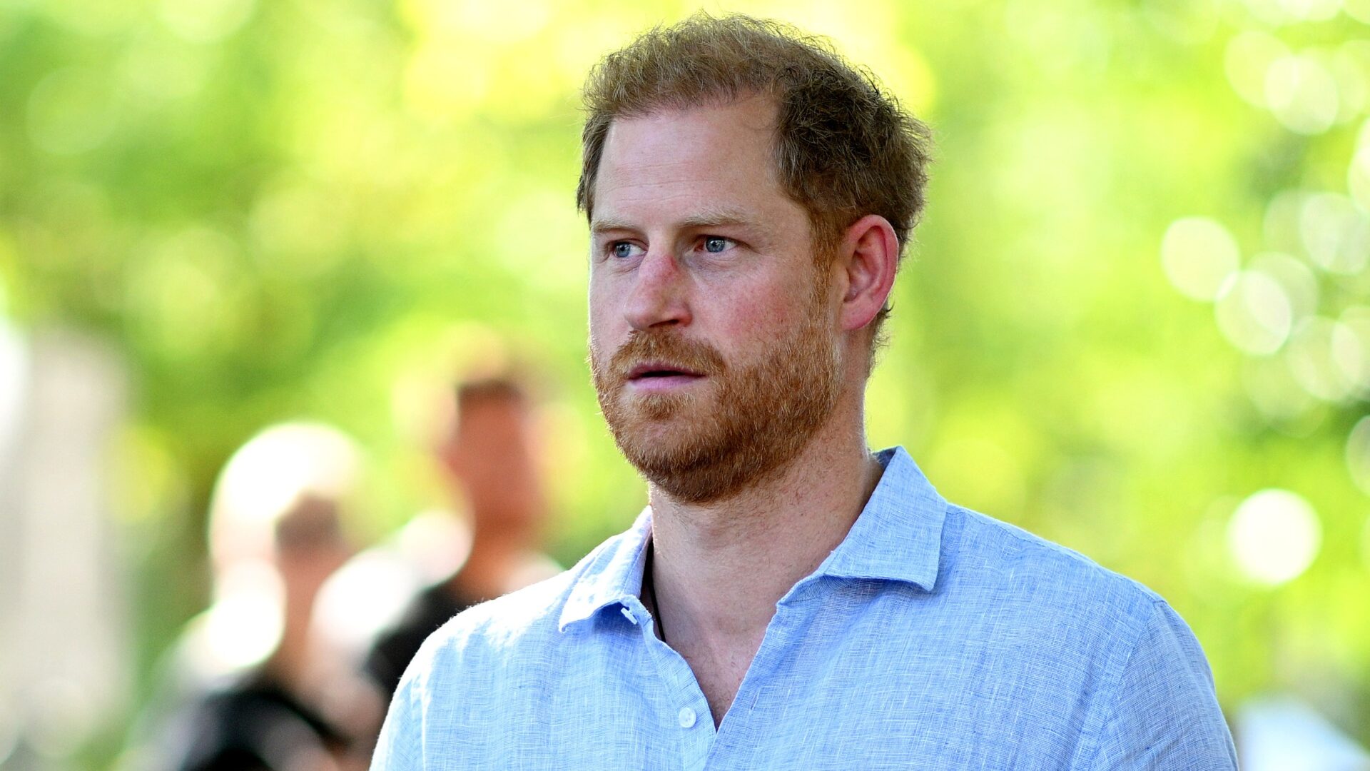 Prince Harry Urged to Step Away from Conservation Charity