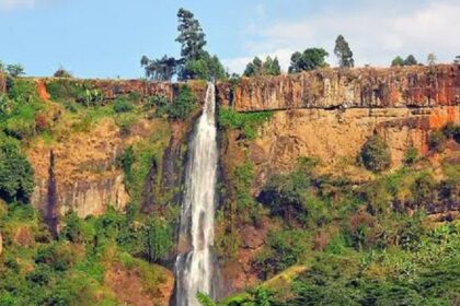 Uganda National Parks: Uganda's Ecological Wonders: The Breathtaking Diversity of National Parks