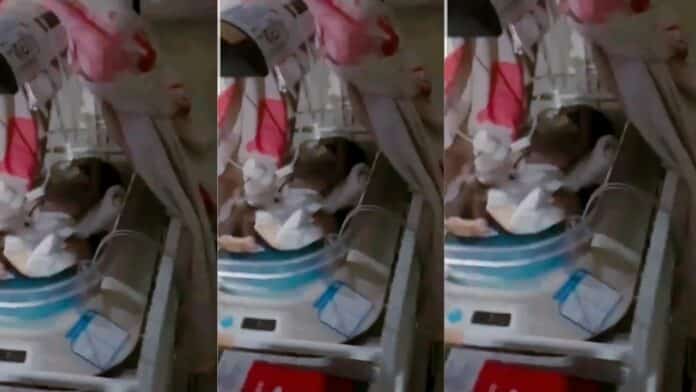 Video Shows 'Dumsor' Endangering Babies on Life Support at Tema General Hospital