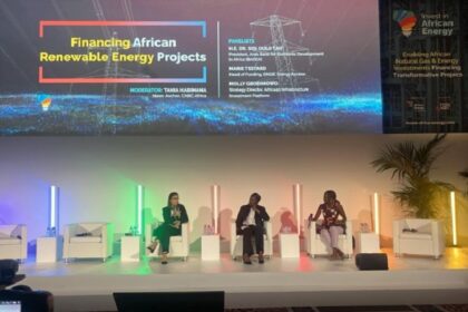 Africa Requires $277B Annually to Achieve 2030 Sustainable Development Goals (SDGs), Says Invest in African Energy (IAE) 2024 Panel