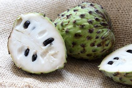 Benefits and Risks of Soursop Leaves for Your Health