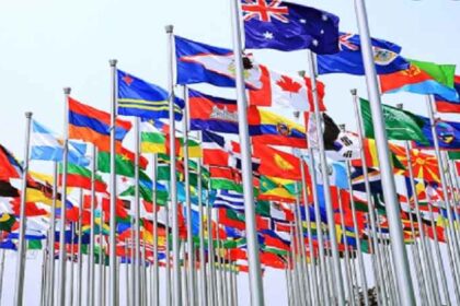 How To Apply For The Commonwealth Professional Fellowship 2025