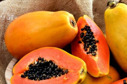 Health Benefits of Pawpaw